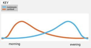 Cortisol-Melatonin Graph